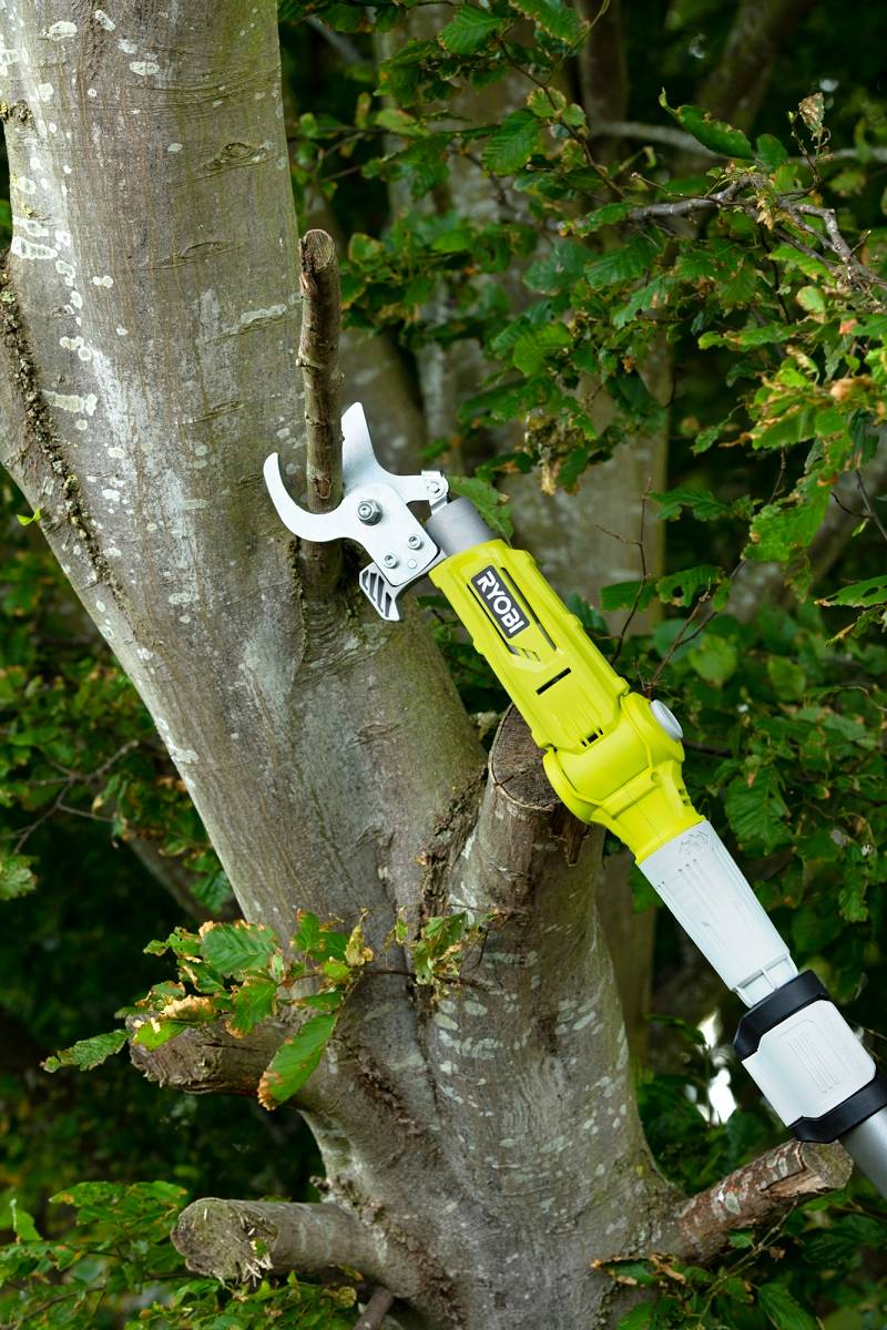 Ryobi - Coupe-branches télescopique sans fil 18V Ø 32 mm RY18PLA-0 - RYOBI - Imagen 4