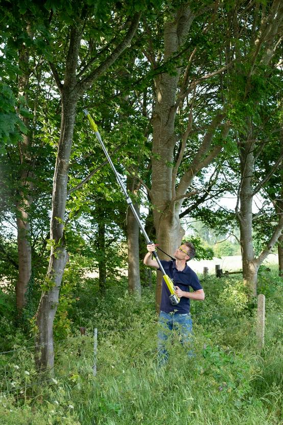 Ryobi - Coupe-branches télescopique sans fil 18V Ø 32 mm RY18PLA-0 - RYOBI - Image 6
