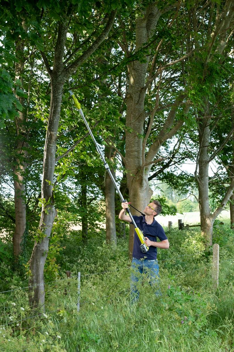 Ryobi - Coupe-branches télescopique sans fil 18V Ø 32 mm RY18PLA-0 - RYOBI - Imagen 6