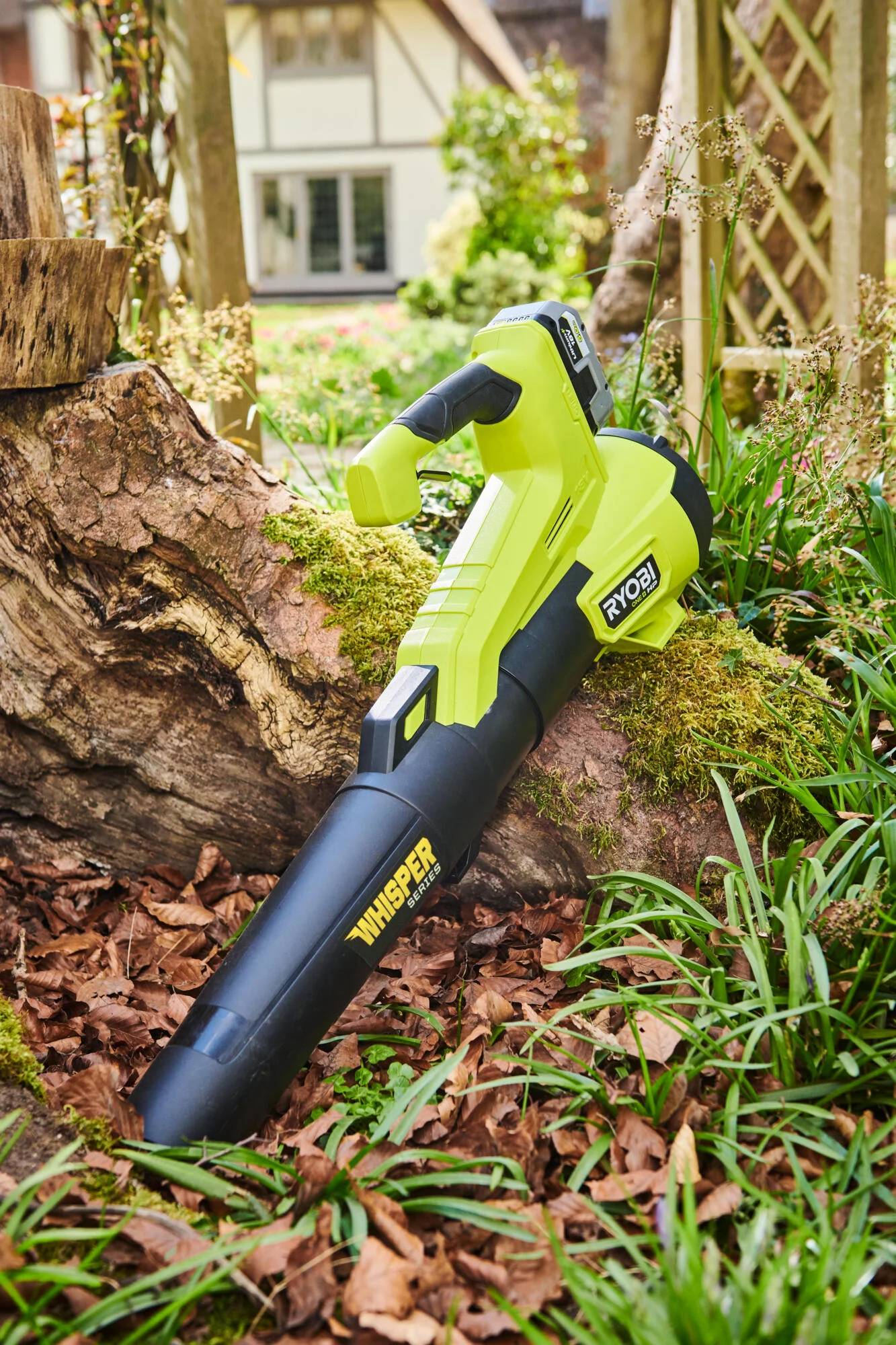 Ryobi - Souffleur Turbo Jet Whisper 18 V - vendu sans batterie RYOBI - Image 15