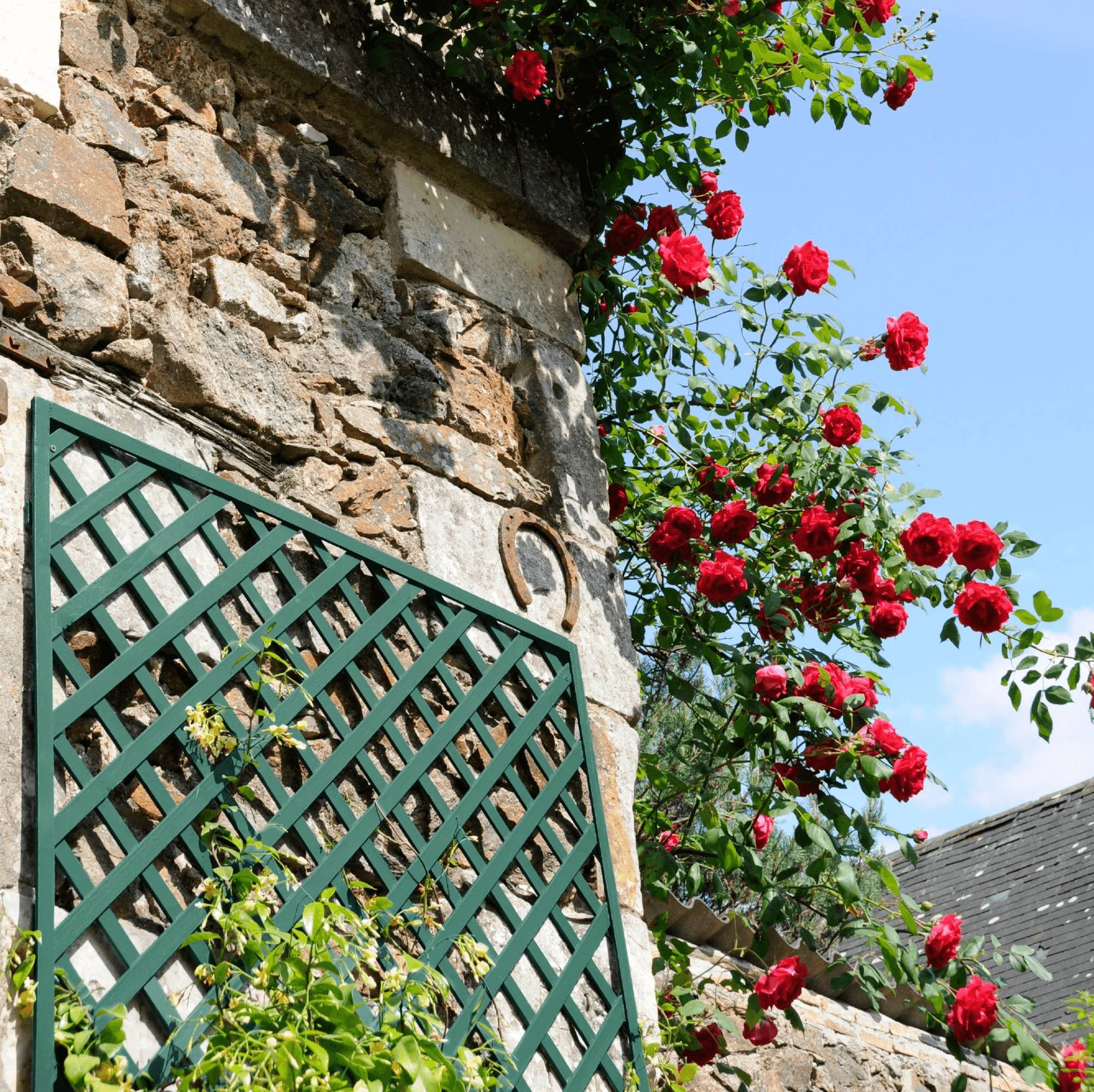 Panneau Treillage Bois Vert – JANY