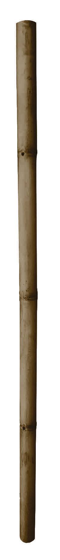 Tuteur bambou deco H.200cm Diam. 7/9cm