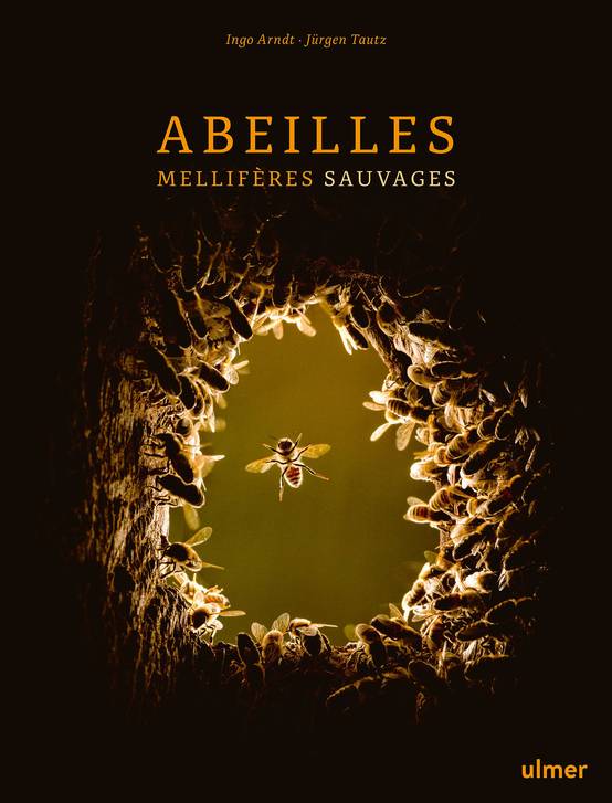 Ulmer - Abeilles mellifères sauvages