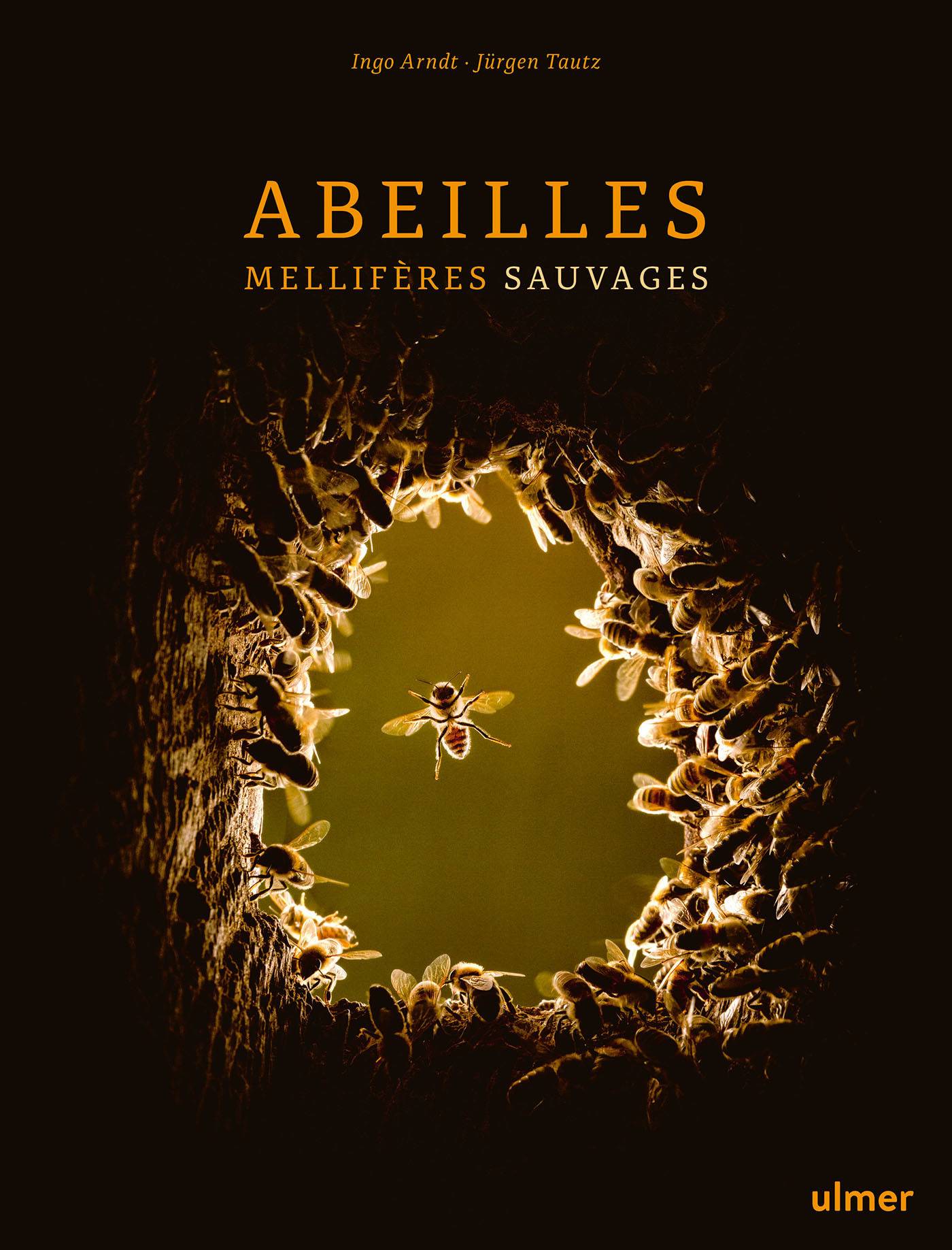 Ulmer - Abeilles mellifères sauvages