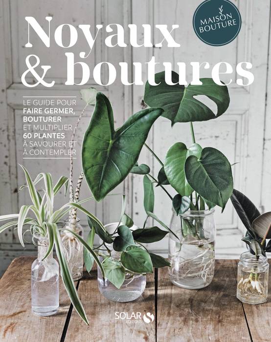 Noyaux & boutures
