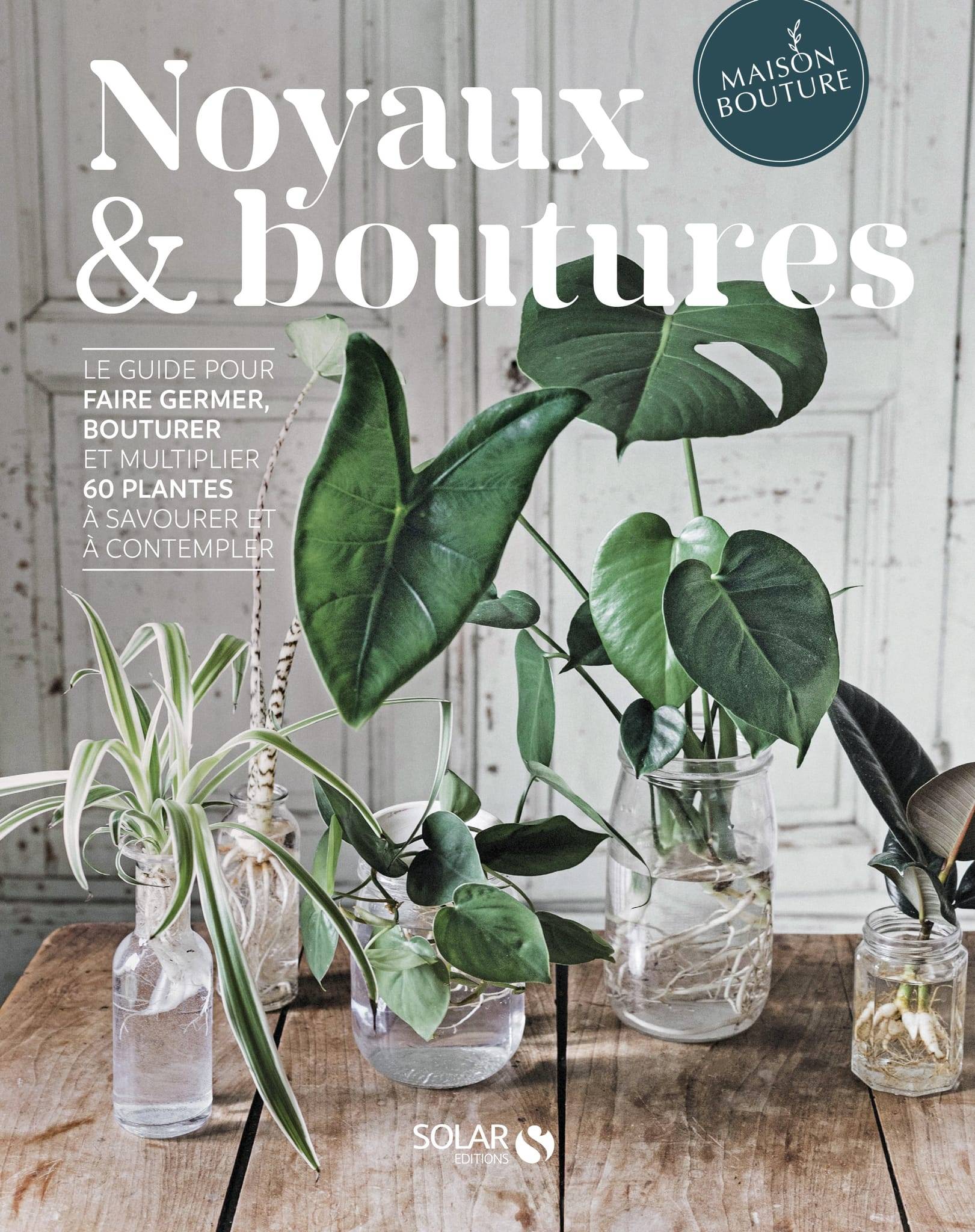Noyaux & boutures
