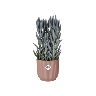 Pot De Fleurs Vibes Fold Rond Roues Rose Poudre 35 cm - ELHO