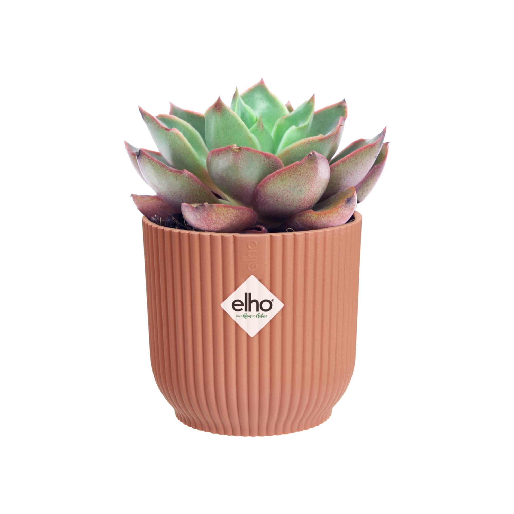 Vibes Fold mini rond 11 rose poudre - VIBES - Image 5