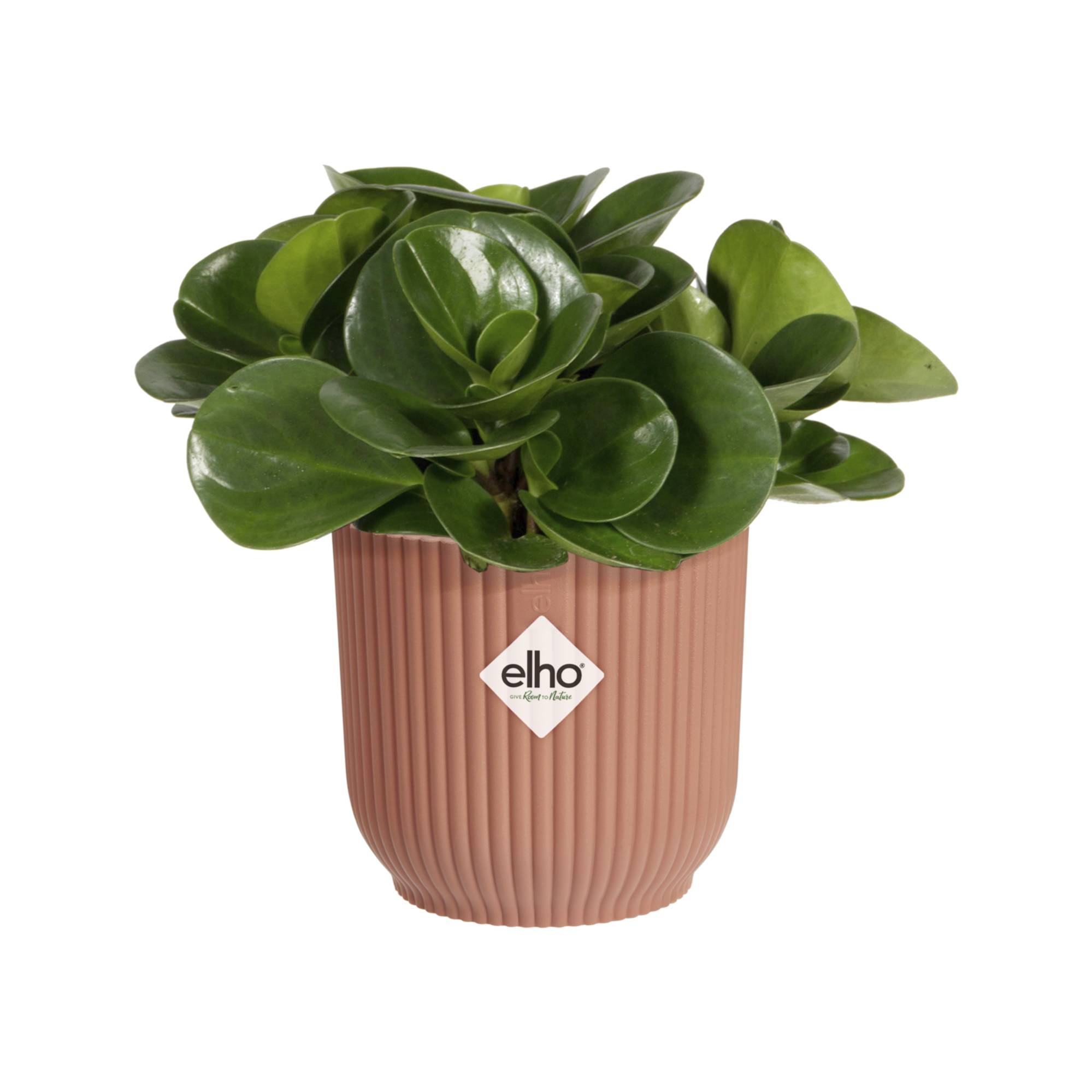Vibes Fold mini rond 11 rose poudre - VIBES - Image 6