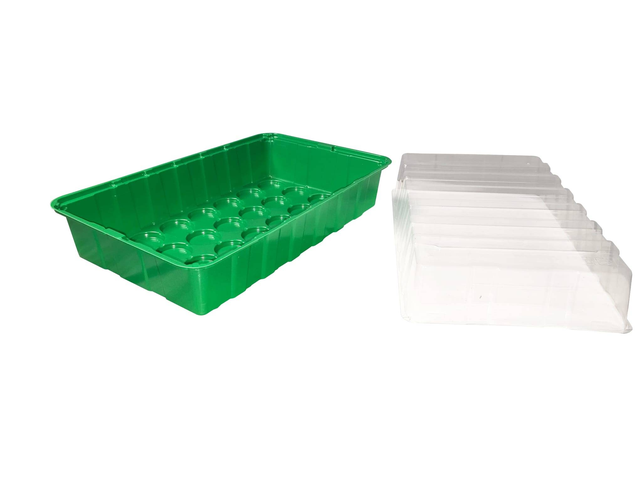 Mini serre L.36 x l.22 x h.13cm