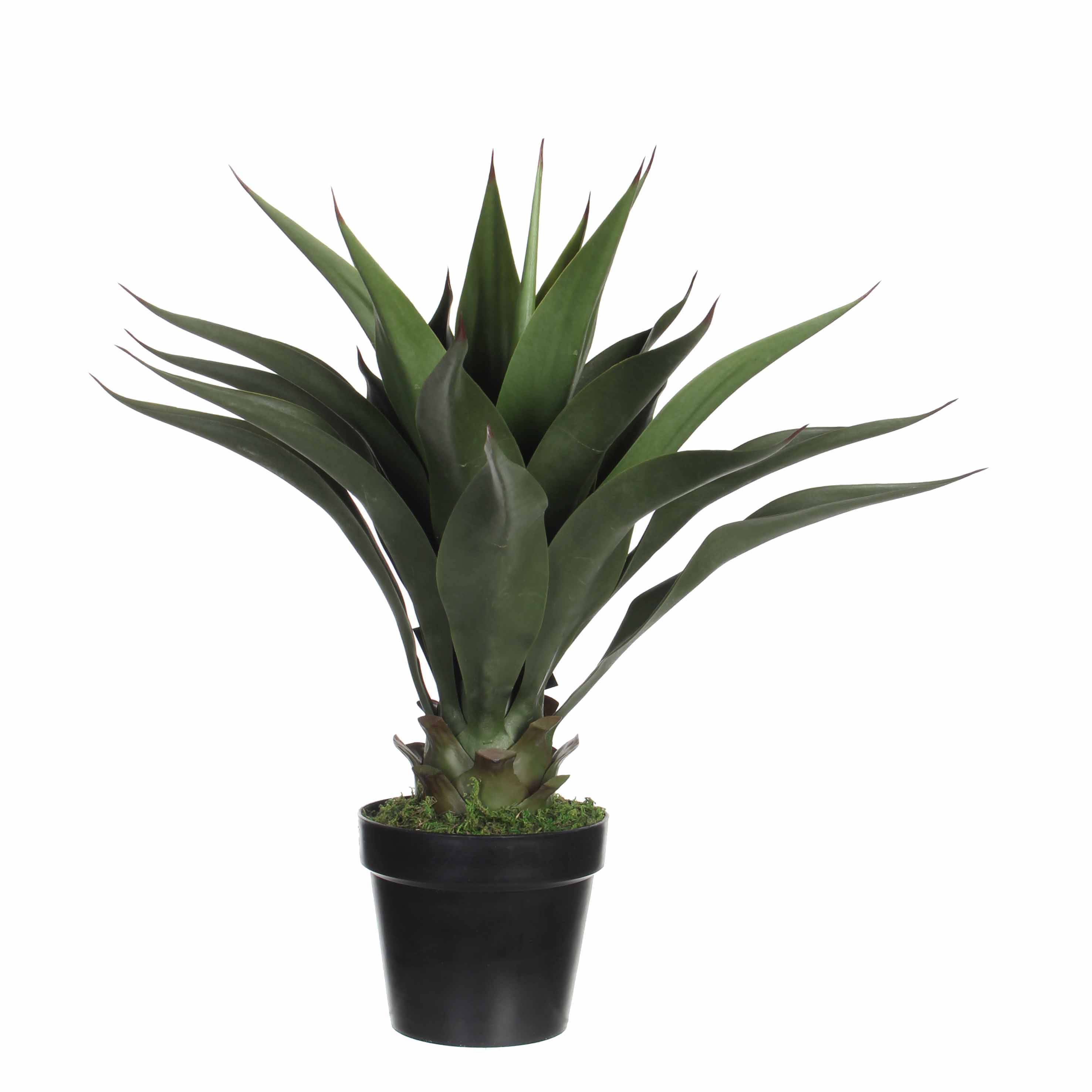 Agave artificiel en pot - MICA - Image 1
