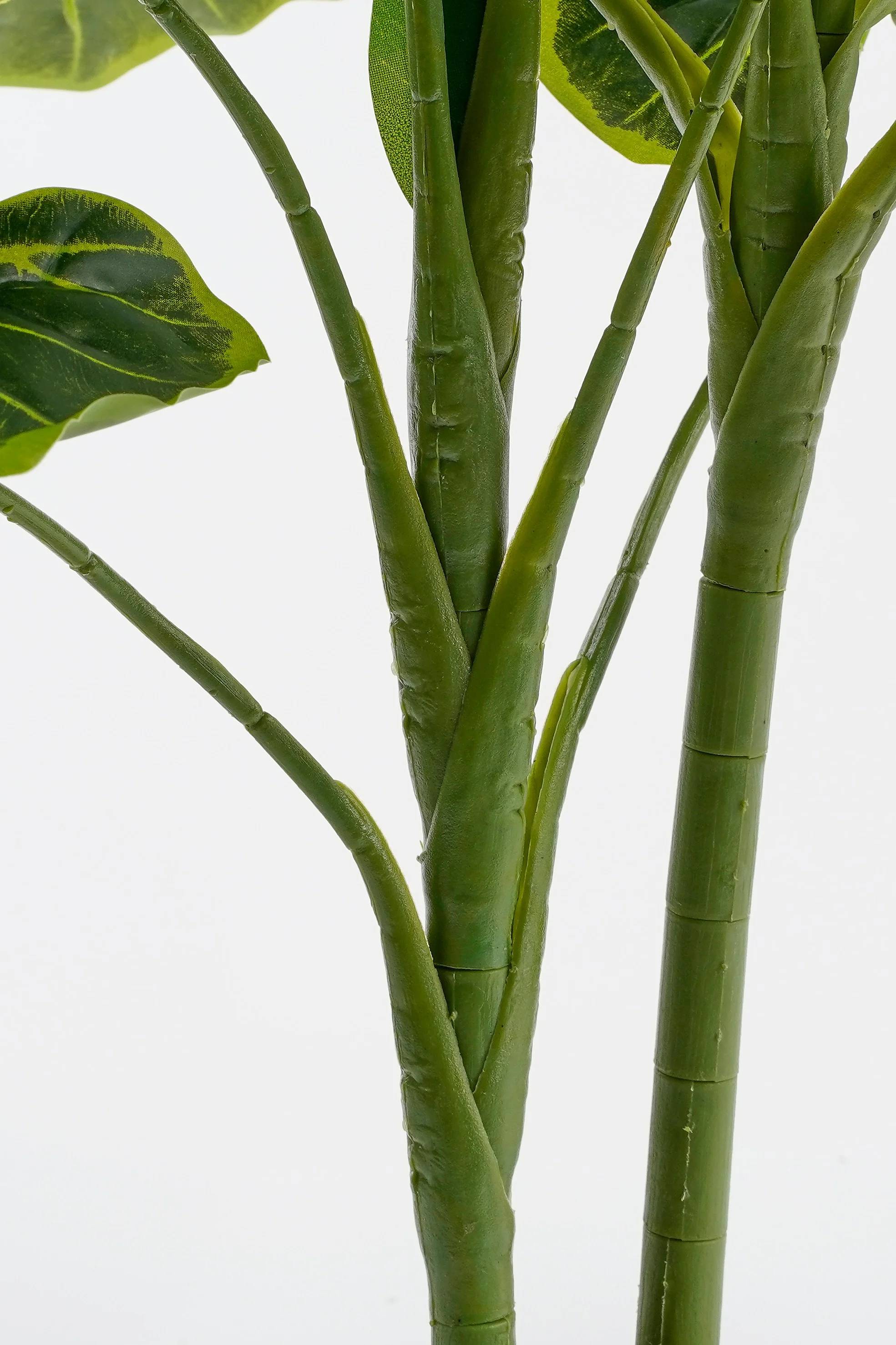 Alocasia en Pot - MICA DECORATIONS - Imagen 4