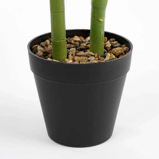 Alocasia en Pot - MICA DECORATIONS - Image 2