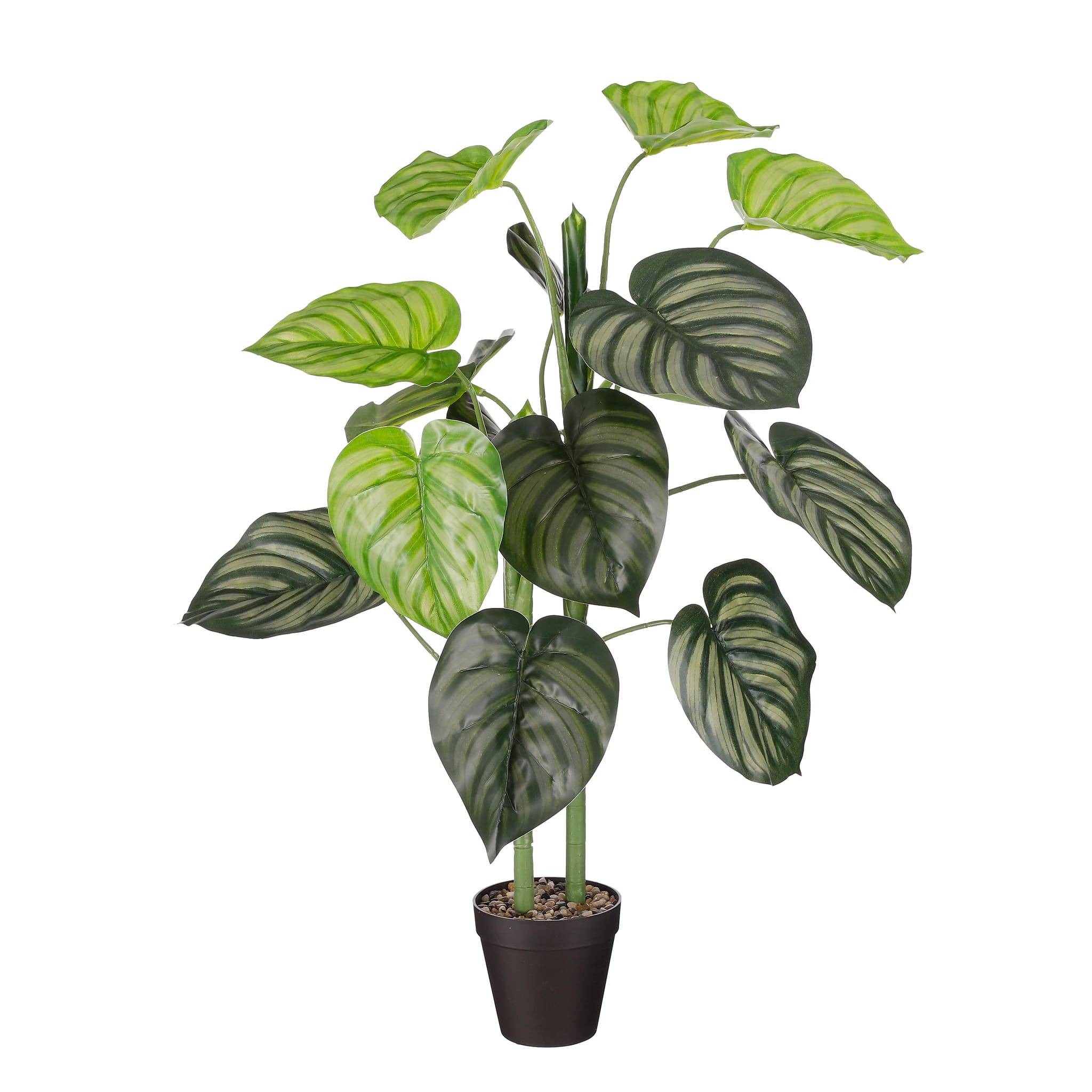 Caladium en pot vert -polyester-Vert- h100xd50cm