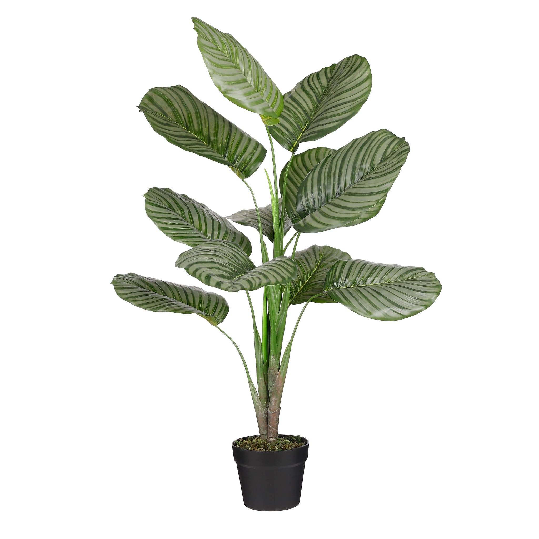 Calathea orbifolia en pot vert -polyester-Vert- h90xd60cm - Imagen 1