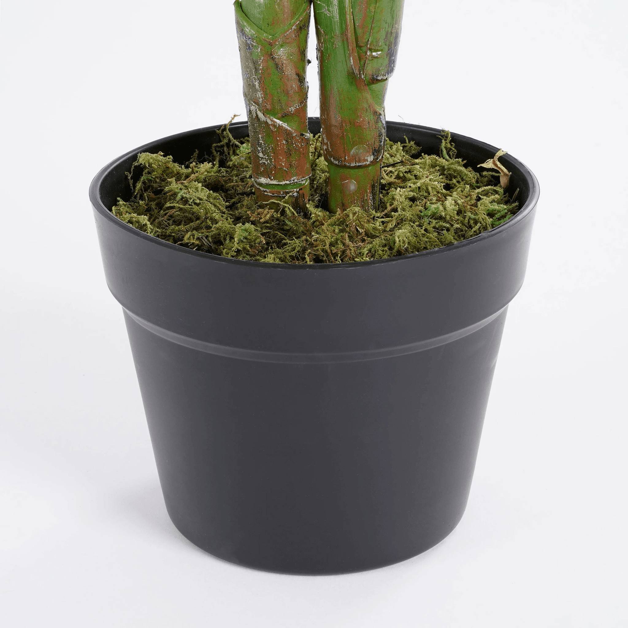 Calathea orbifolia en pot vert -polyester-Vert- h90xd60cm - Imagen 4