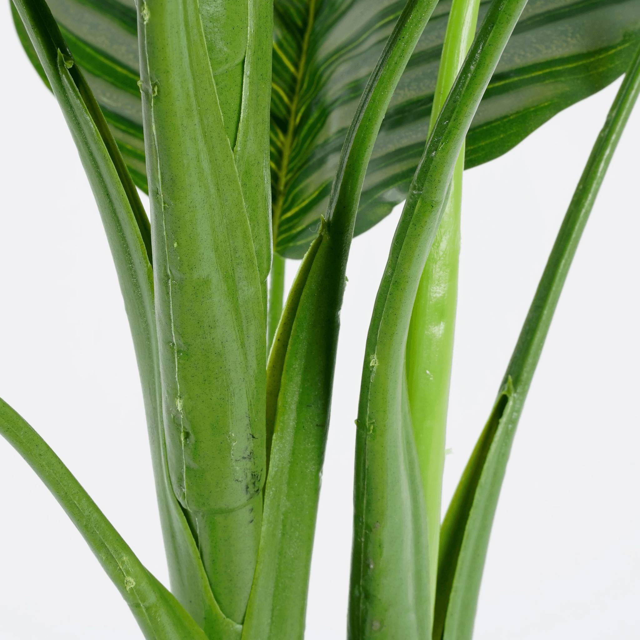 Calathea orbifolia en pot vert -polyester-Vert- h90xd60cm - Image 5