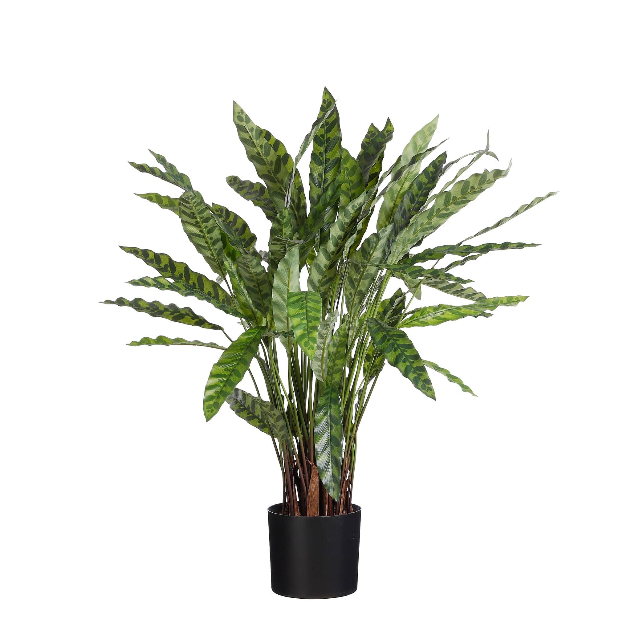 Calathea en pot vert -polyester-Vert- h84xd40cm