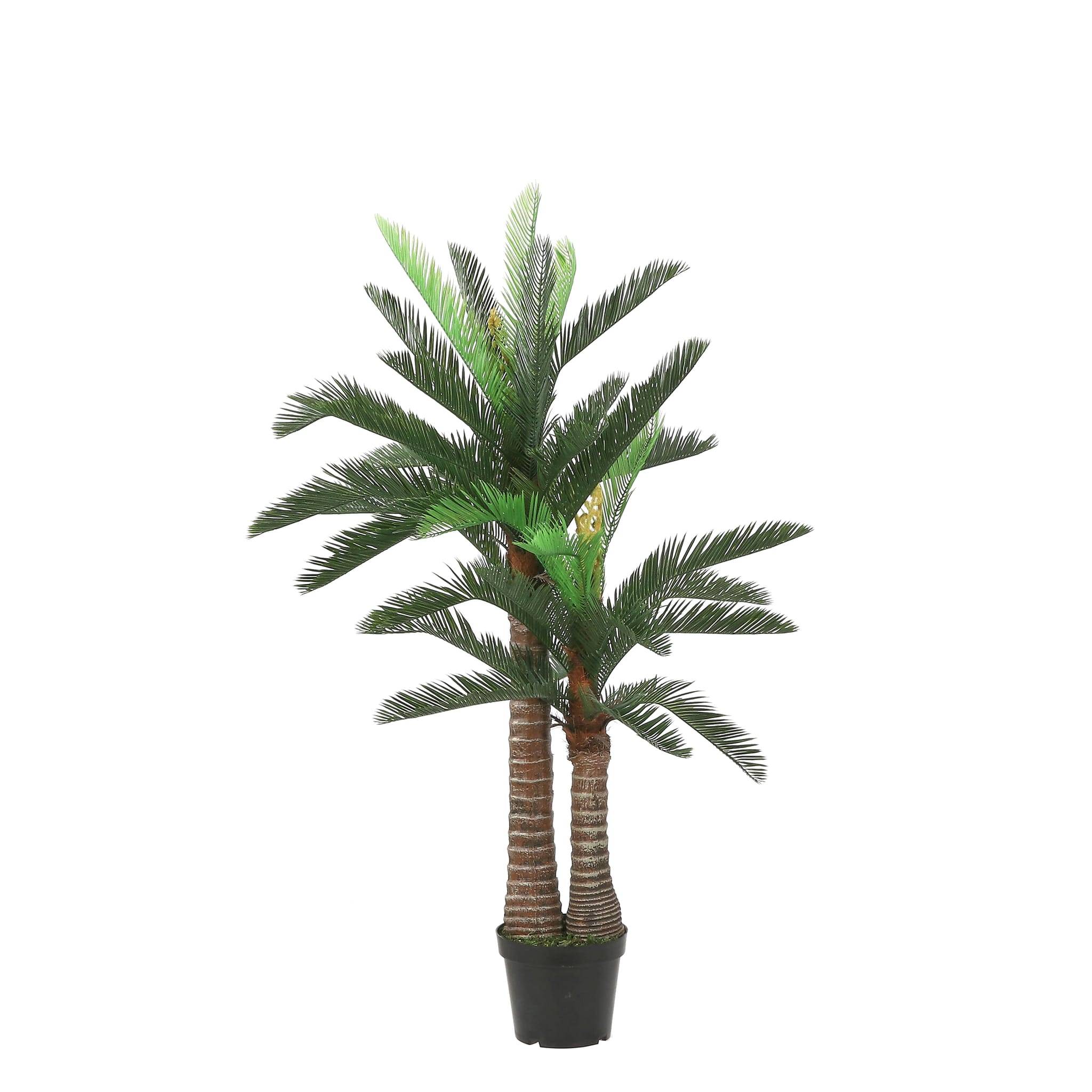Cycas Palmier En Pot - MICA - Imagen 1