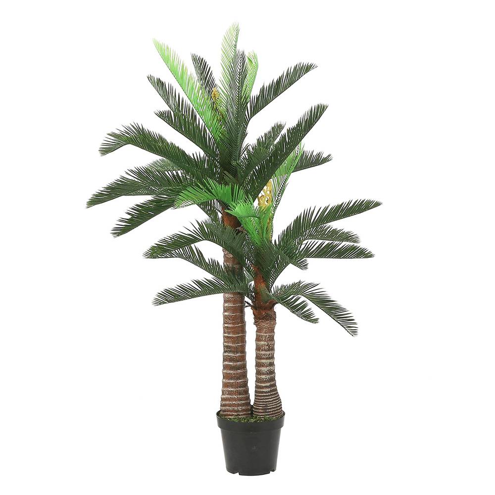 Cycas Palmier En Pot - MICA - Image 2