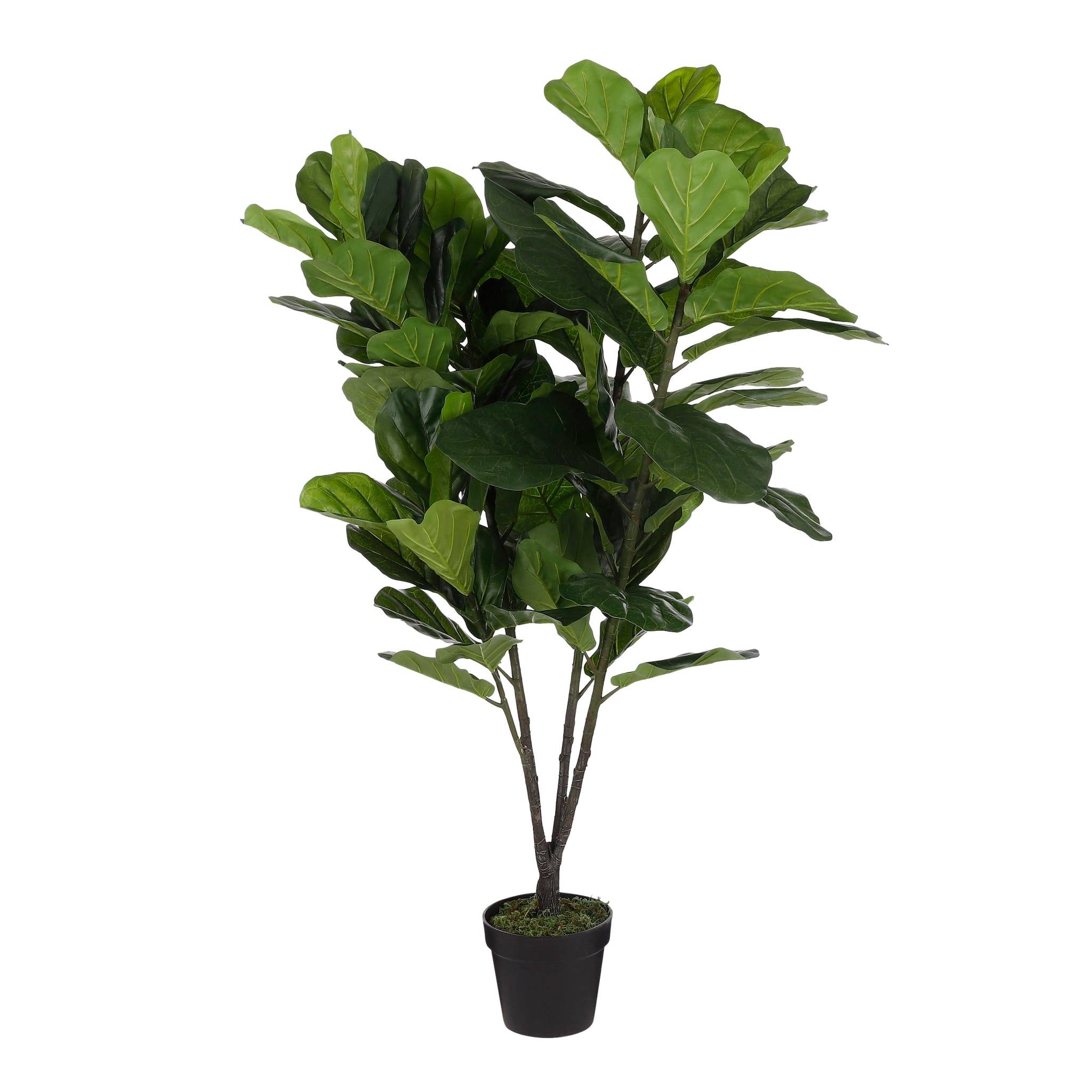 Ficus lyrata en pot vert -polyester-Vert- h150xd80cm