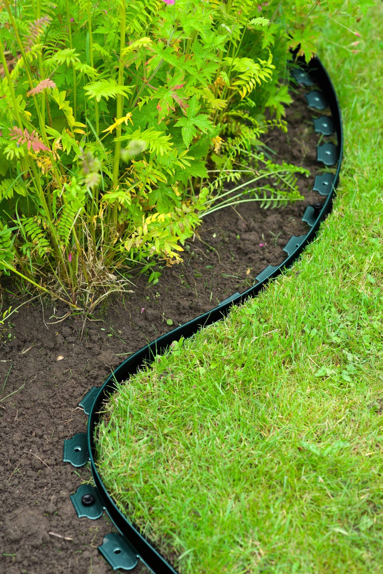Bordure Gazon PE - NATURE - Image 6