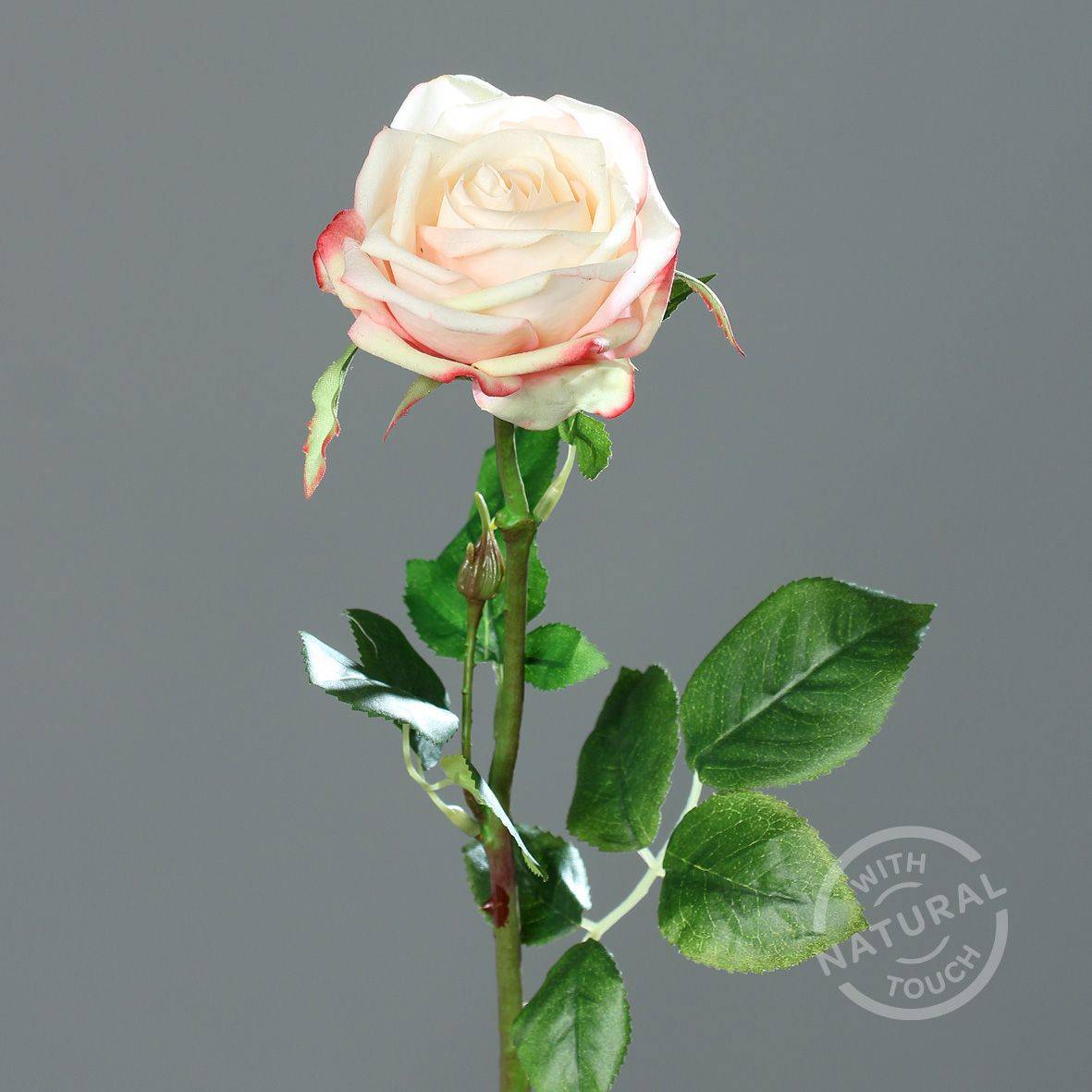 DPI - rose x1, peche-jaune, 66 cm