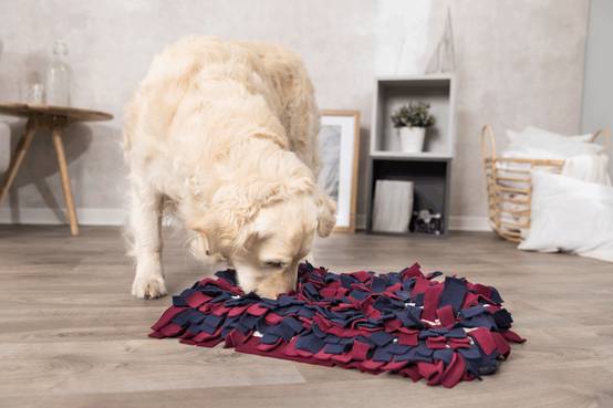 Trixie - Trixie - Jeu de stratégie tapis à renifler chien L.52 x l.35 cm - Image 1