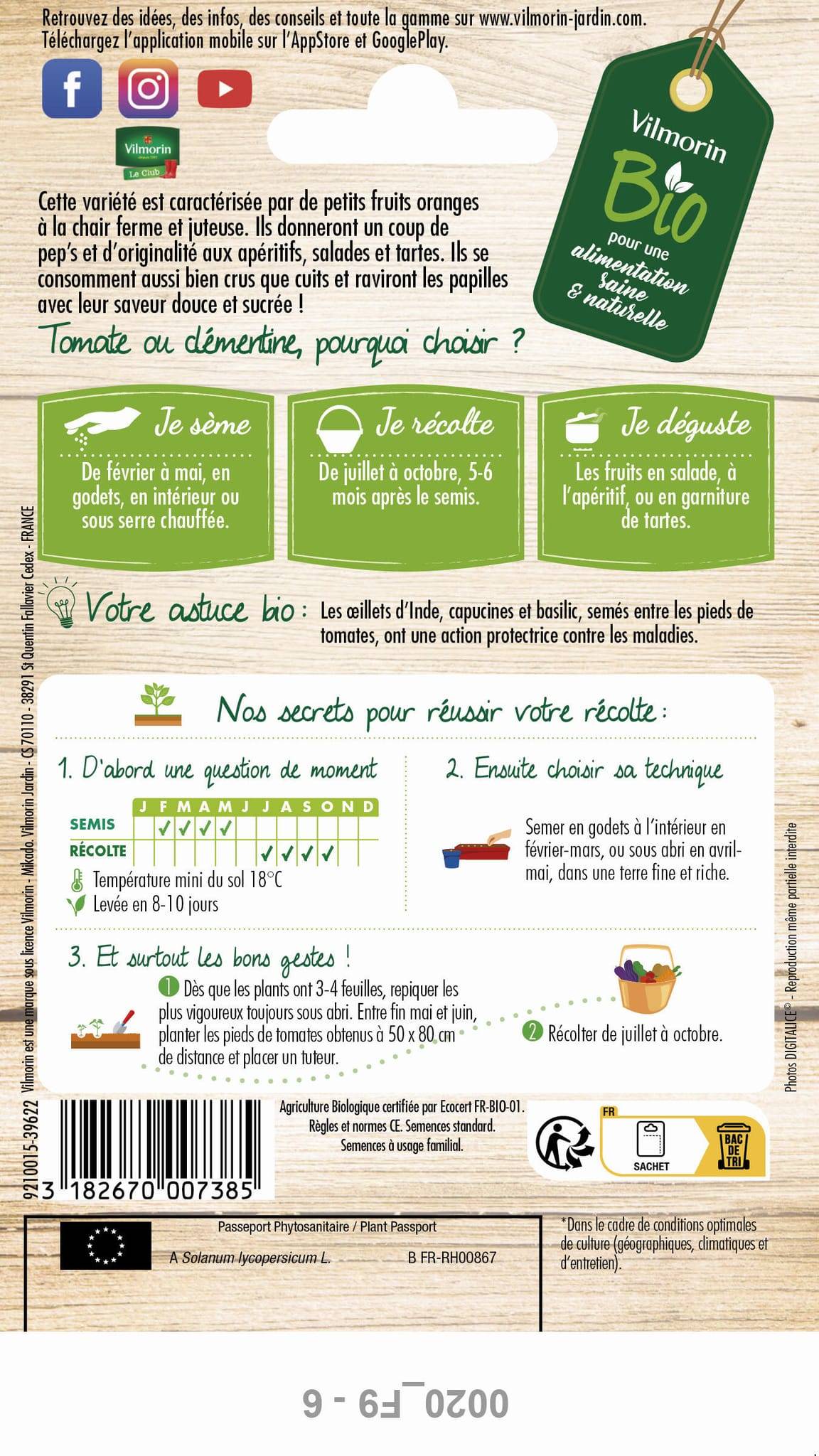 Vilmorin - Tomate cerise orange clémentine Bio série 2 sachet graines 0,15 g - Vilmorin - Image 4