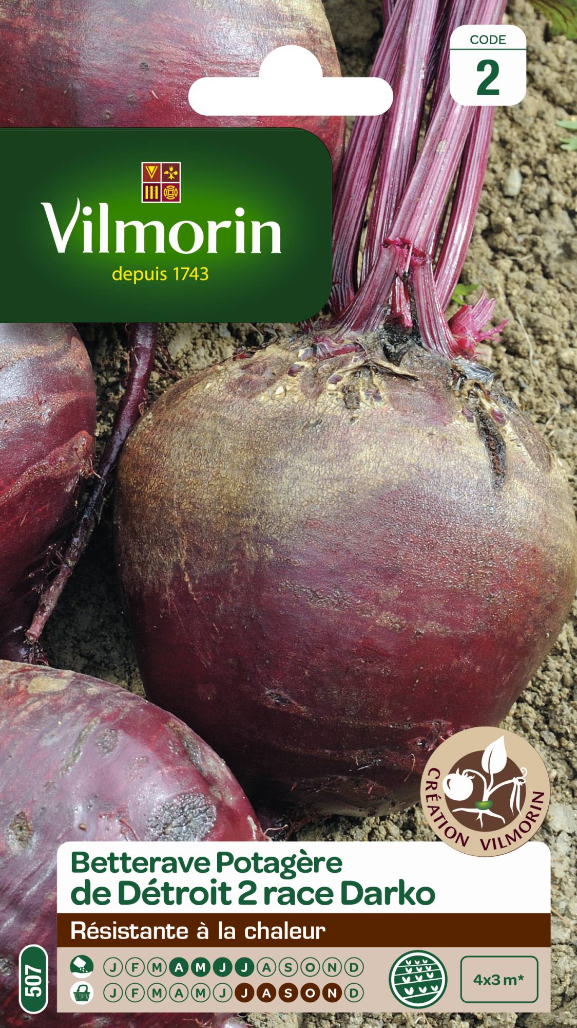 Vilmorin - Sachet de graines de Bettrave potagère de Détroit 2 Darko - Série 2 - 5 g - VILMORIN - Image 1