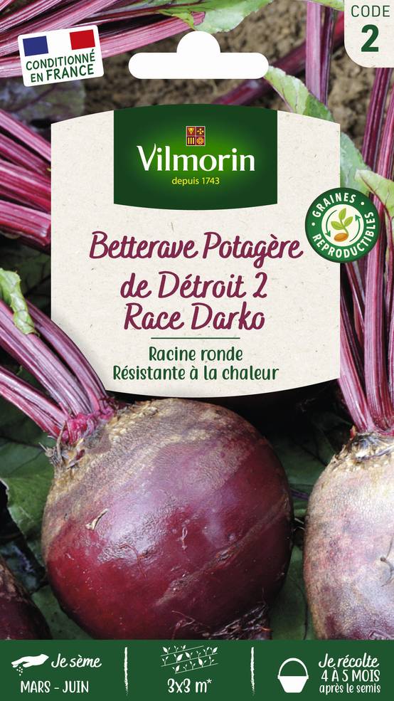 Vilmorin - Sachet de graines de Bettrave potagère de Détroit 2 Darko - Série 2 - 5 g - VILMORIN - Image 2