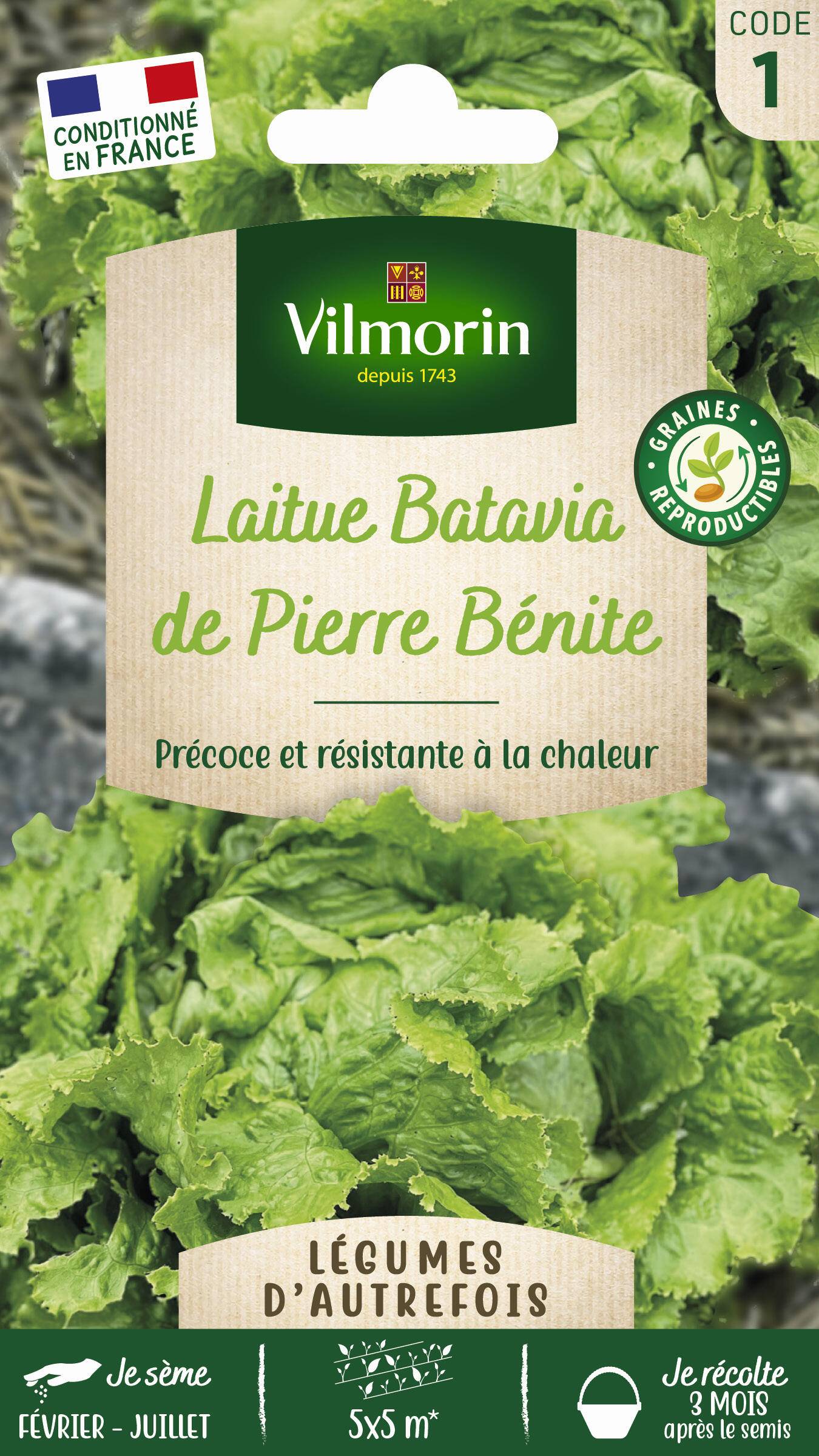 Vilmorin - Laitue batavia de Pierre Bénite série 1 sachet graines 4 g - Vilmorin - Image 1