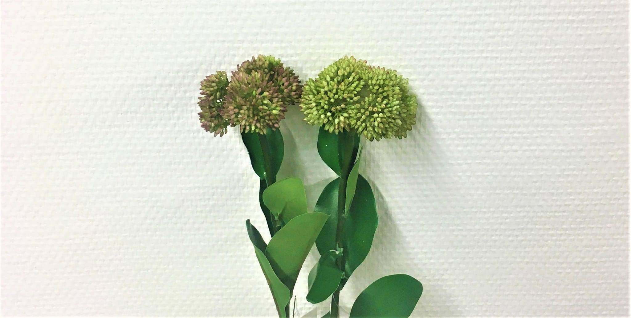 Tige sédum vert rose avec feuillage artificielle 46 cm