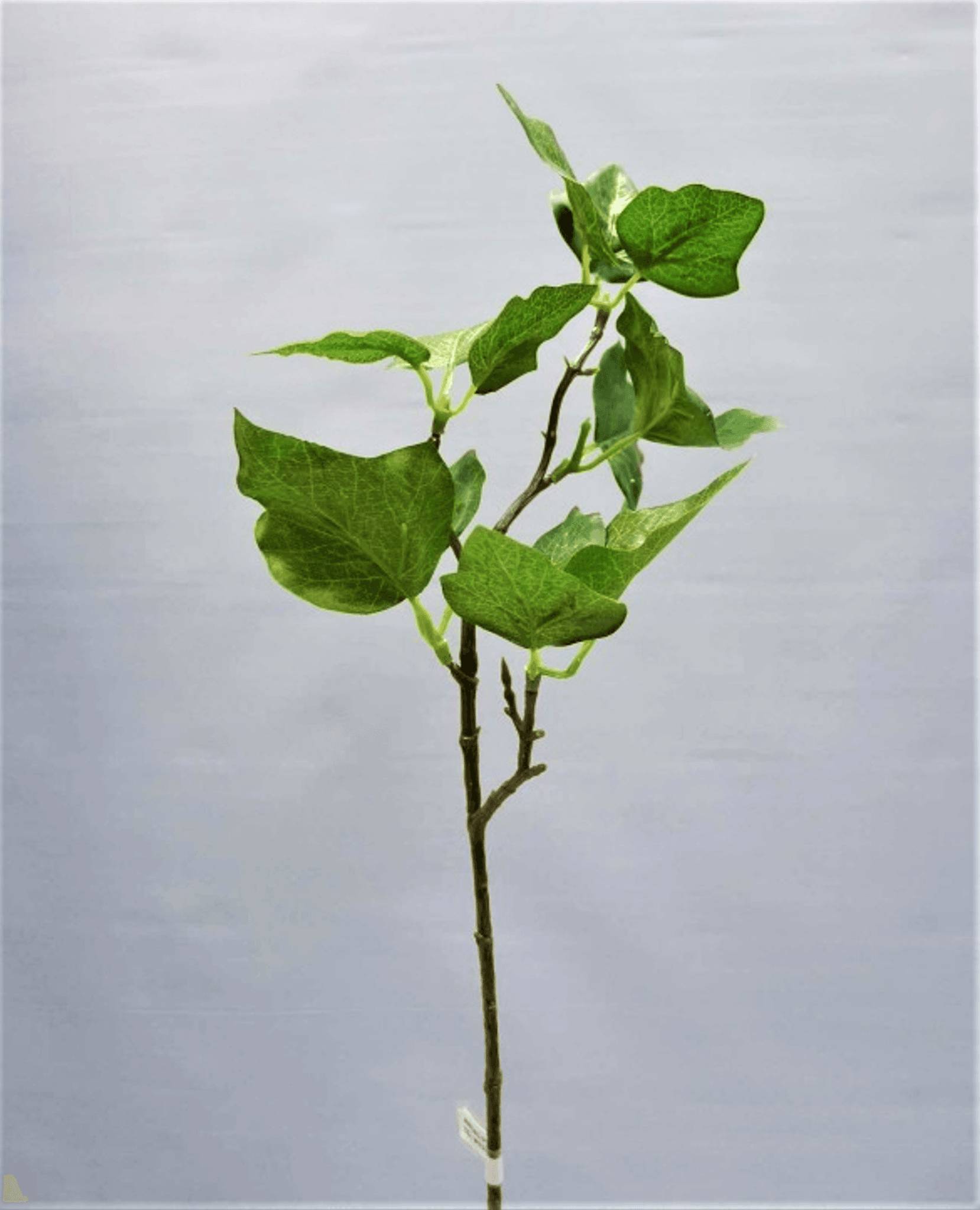 Tige lierre vert artificielle 46 cm