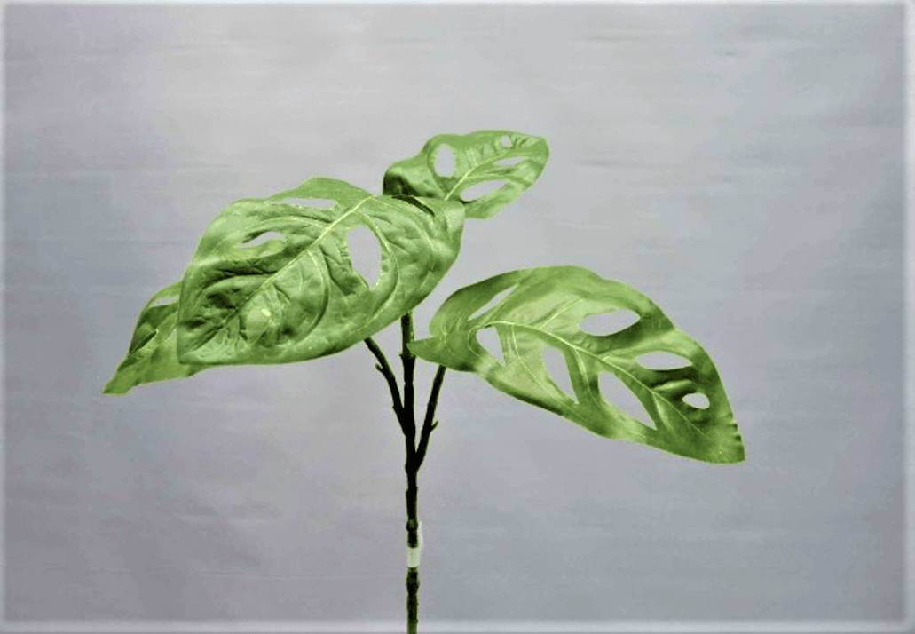 Tige monstera adansonii artificielle 33 cm