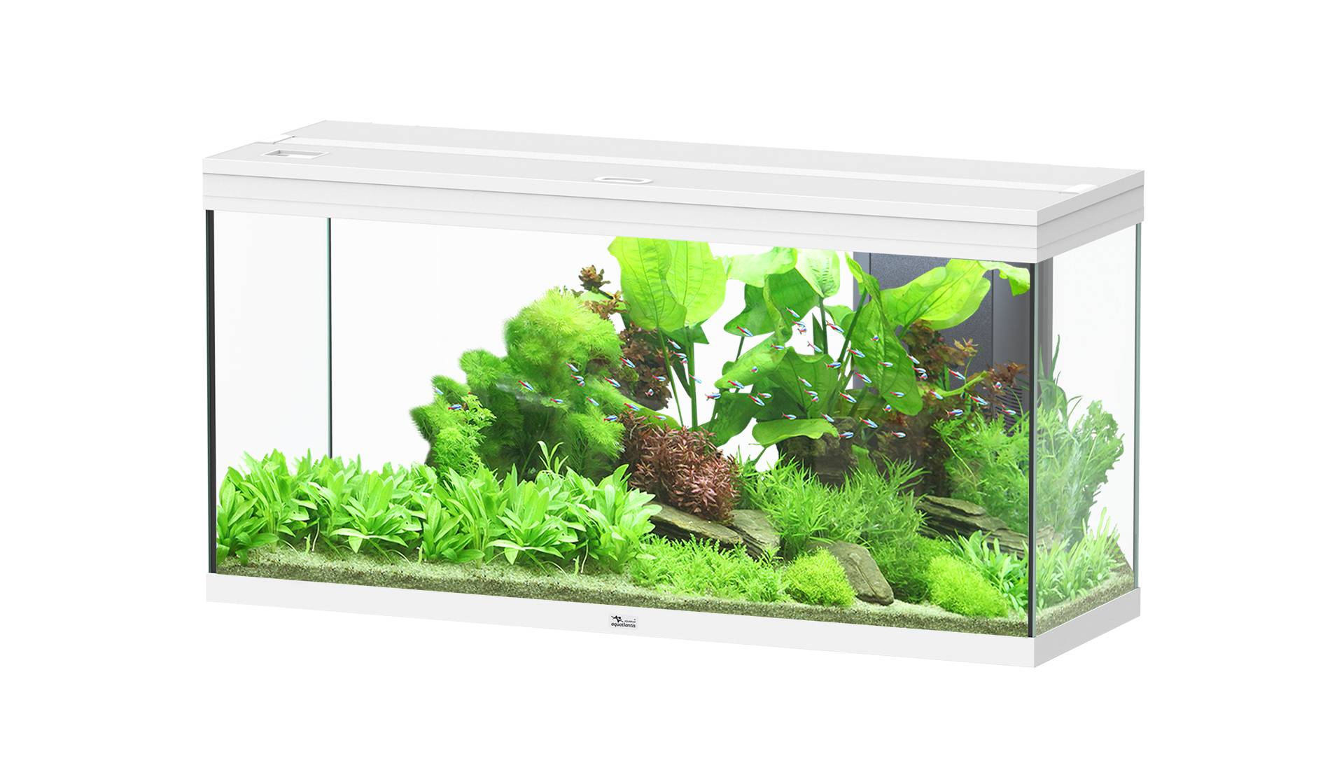 Aquatlantis - Aquatlantis - SPLENDID 120X40X61 LED 2.0 EQP