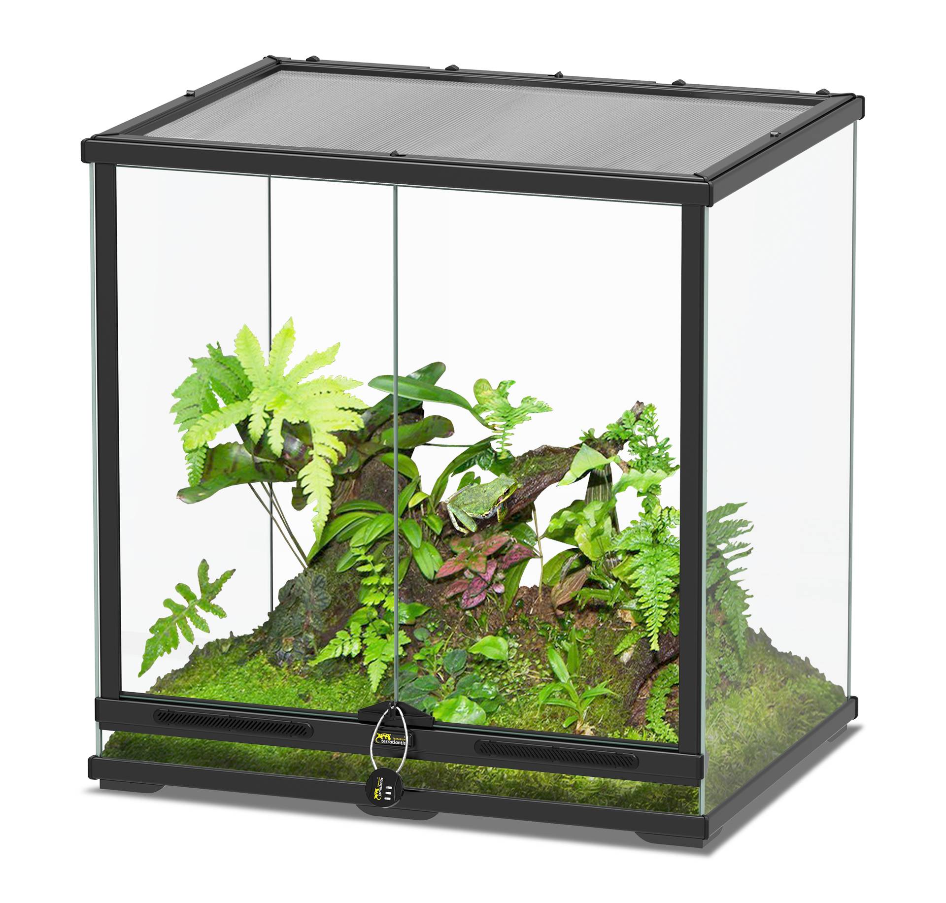 Aquatlantis - Aquatlantis - TERRARIUM SMART LINE 60X45X60