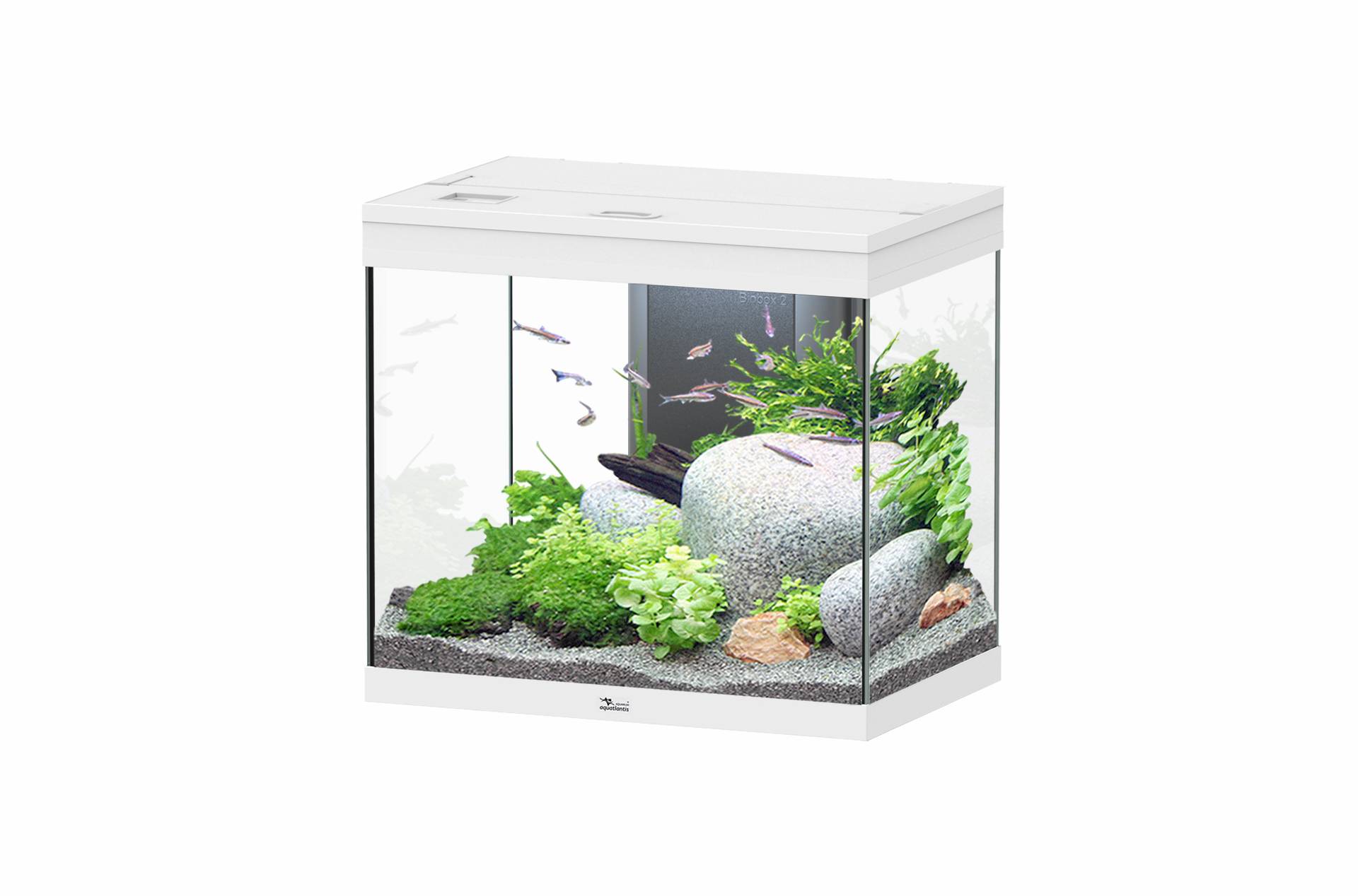 Aquatlantis - Aquatlantis - SPLENDID 60X40X56 LED 2.0 EQP