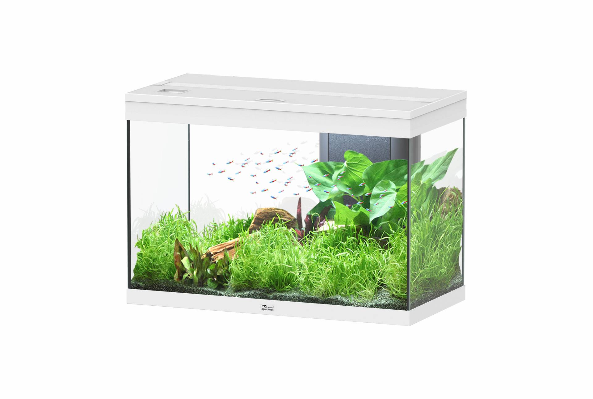 Aquatlantis - Aquatlantis - SPLENDID 80X40X56 LED 2.0 EQP
