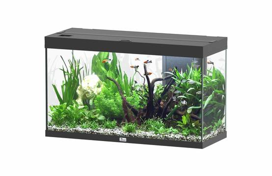 Aquatlantis - Aquatlantis - SPLENDID 100X40X61 LED 2.0 EQP