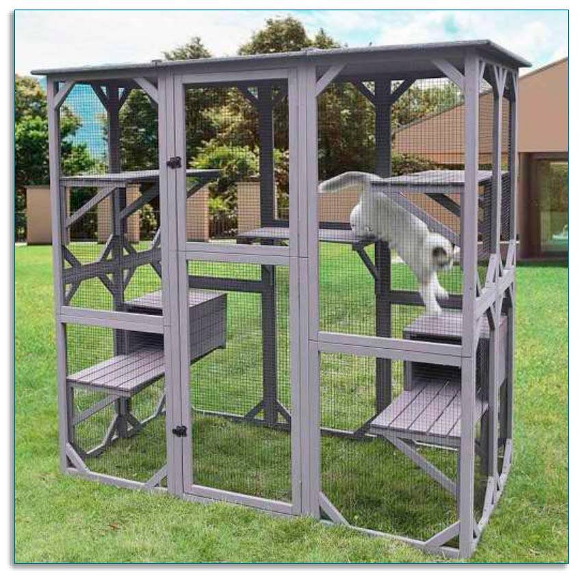 Sitemapcdatahttpwen2windecoocomabri Exterieur Pour Chat Jardiland