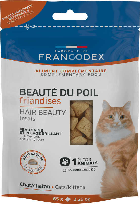 FRIAND CHAT BEAUTE POILS CT