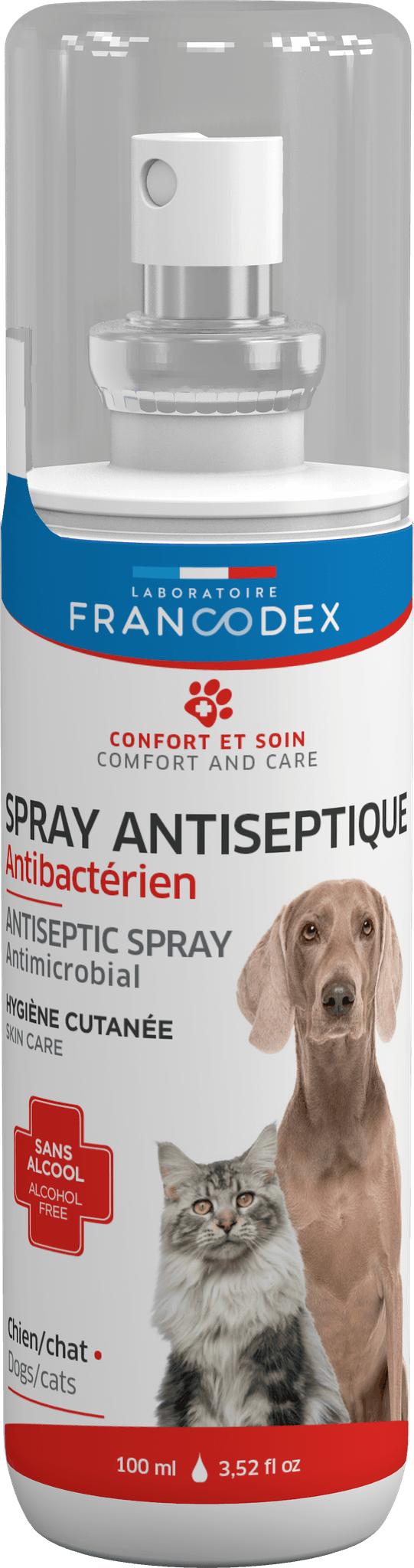 SPRAY ANTISEPTIQUE 100ML CH CT