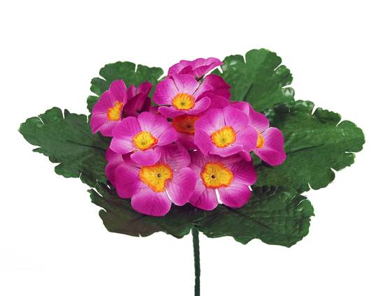Sardeco - Piquet de fleurs primevères artificielles roses H.20 cm