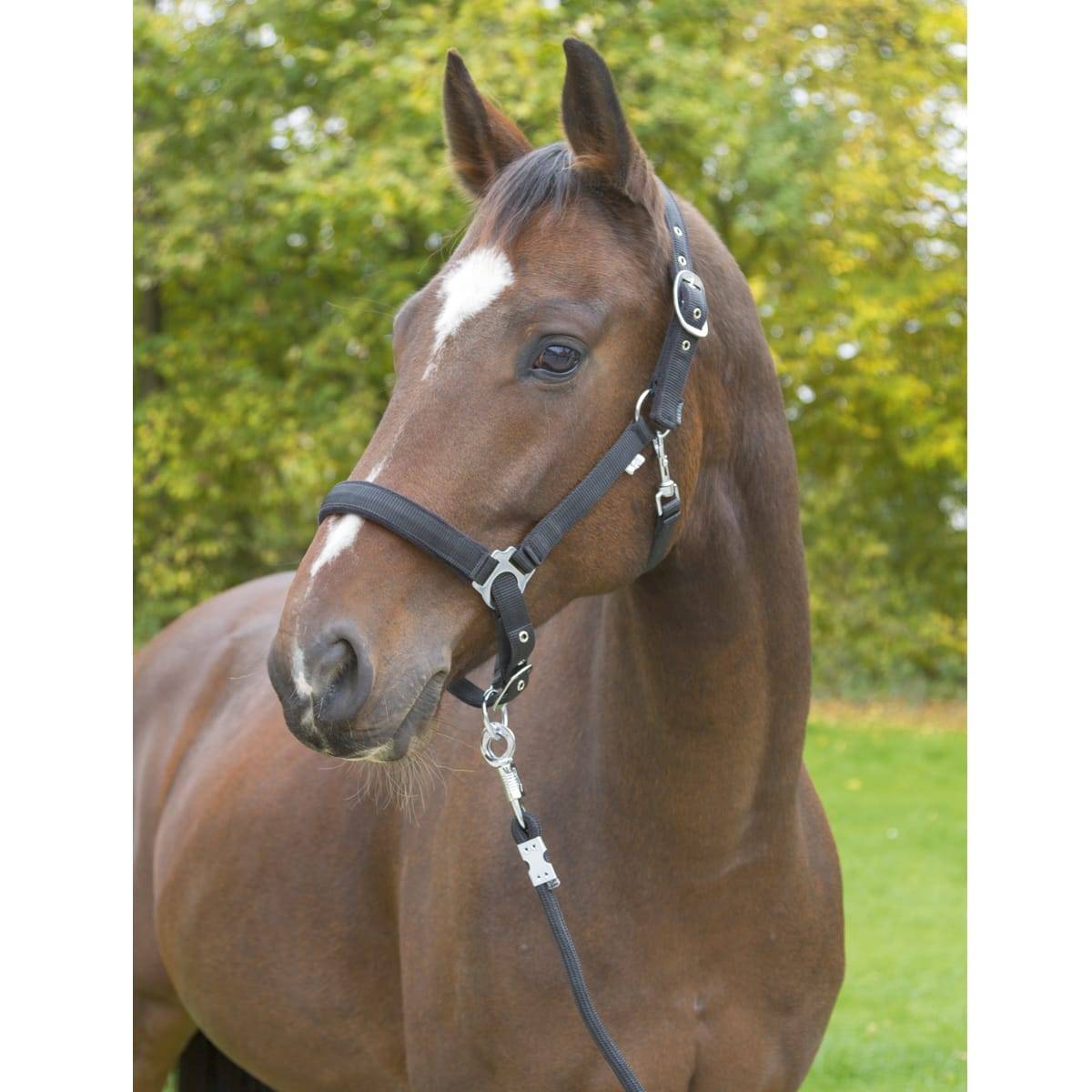 Licol Dexter avec doublure polaire, noir, Full