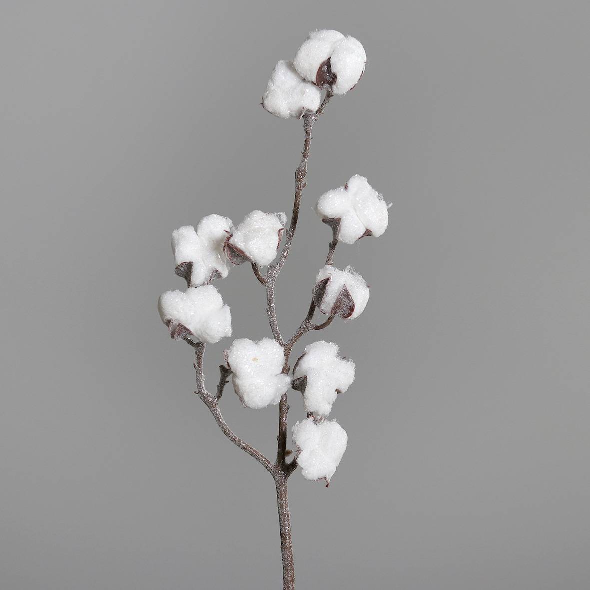 coton, branche scintillante, 50 cm