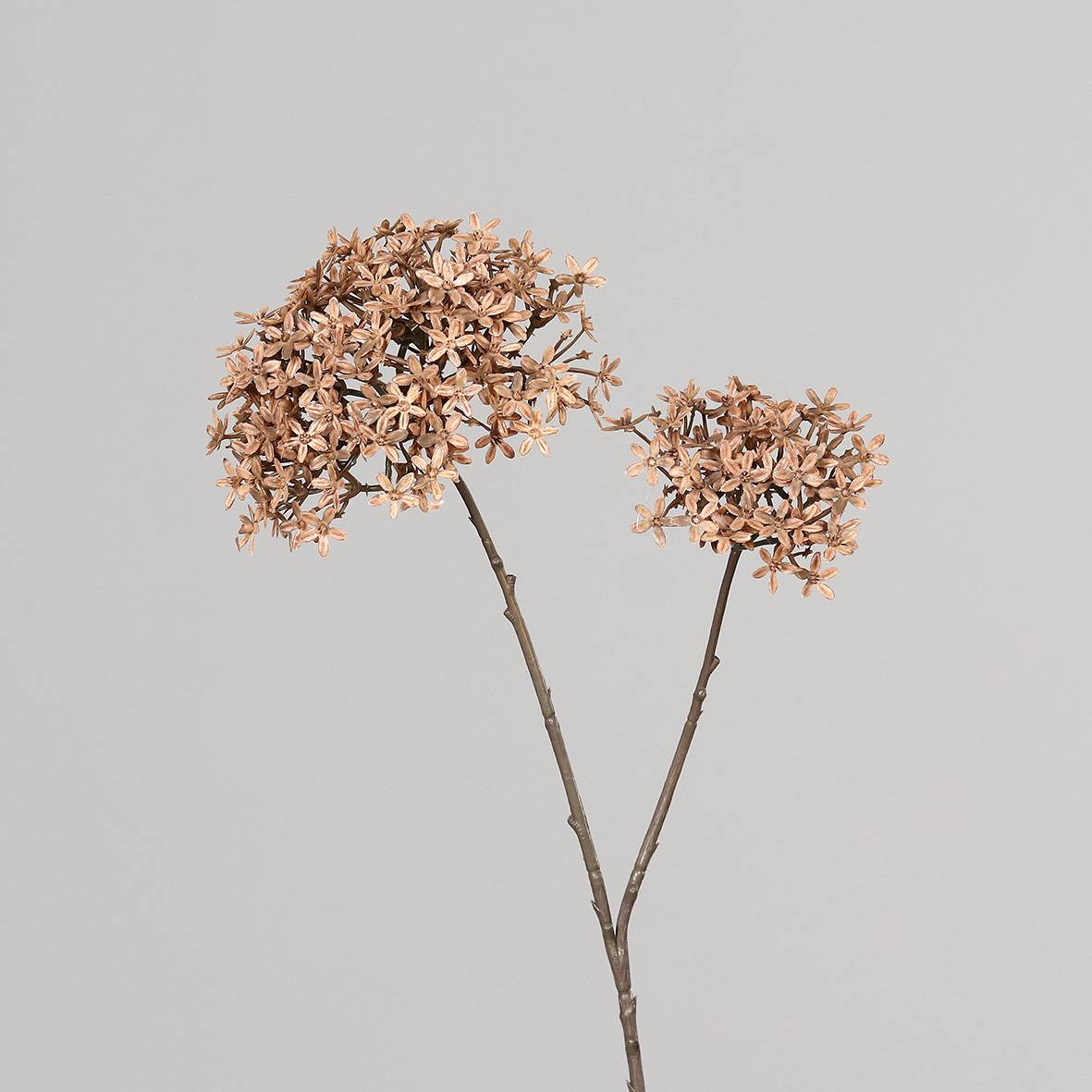 DPI - DPI - Branche de sureau artificielle coloris Brun H.71 cm