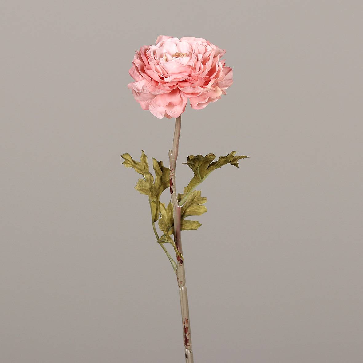 DPI - renoncule x3, fuchsia-rose combinaison, 62 cm