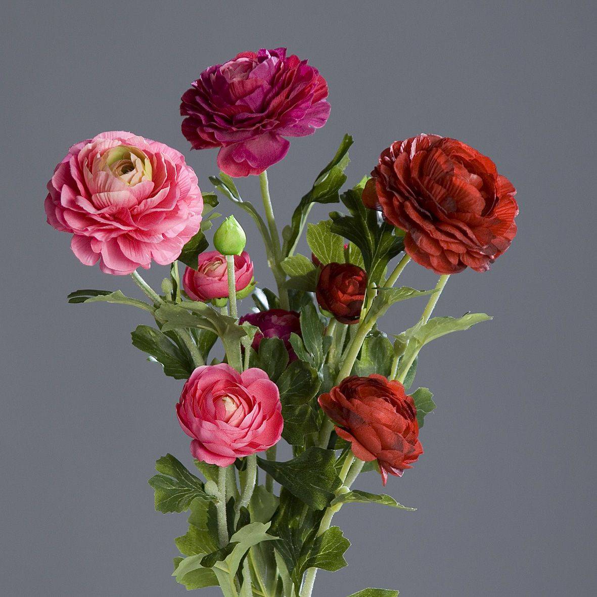 DPI - renoncule x3, fuchsia-rose combinaison, 62 cm