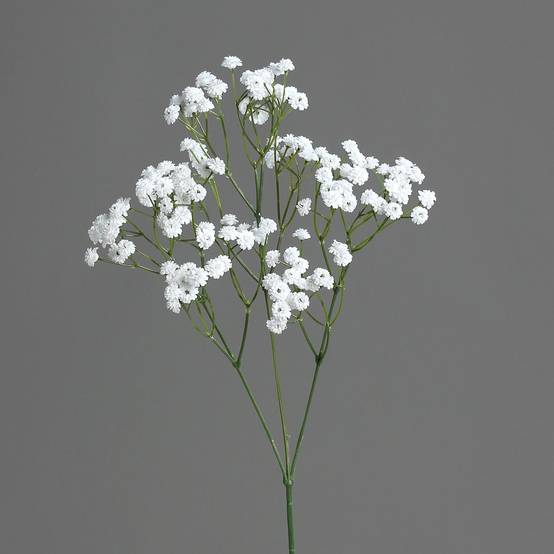 DPI - gypsophile, 67 cm